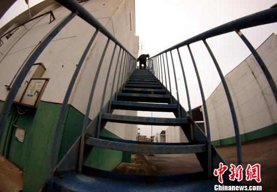 中央儲(chǔ)備糧江西泰和直屬庫有限公司保管員在倉庫巡查。　王昊陽 攝